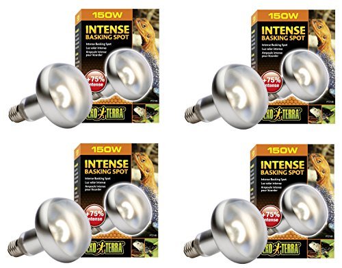 Amazon.com : Exo Terra Sun-Glo Basking Infrared Spot Lamp, 150